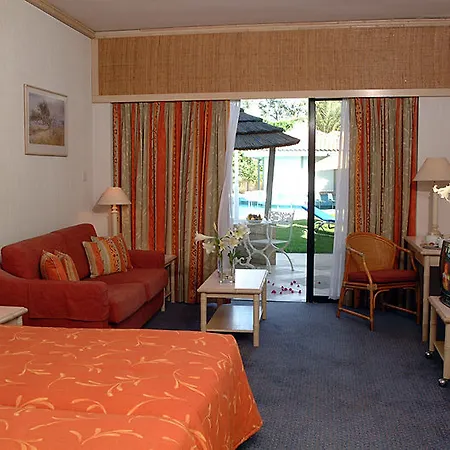 Palm & Larnaca