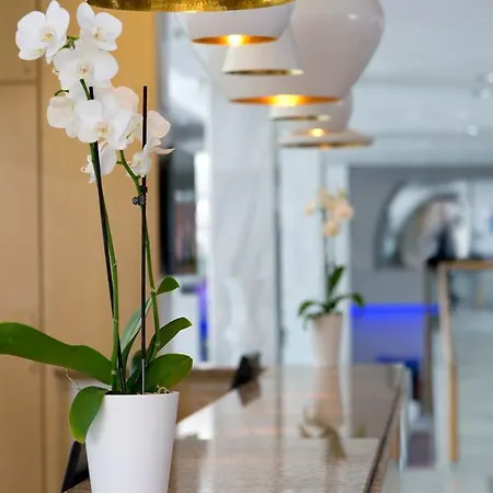 Palm & 리조트 4*