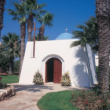 Palm &