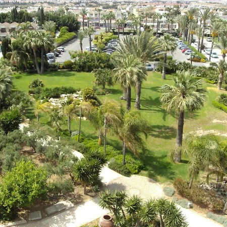 Palm & لارنكا