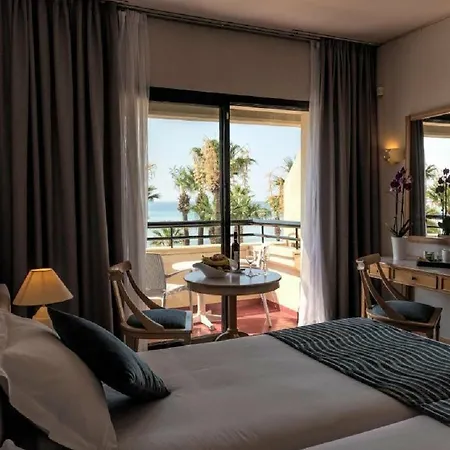 منتجع Palm &