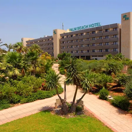 منتجع Palm &