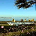 Semesteranläggning (resort) Palm & 4*