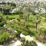 Palm & لارنكا