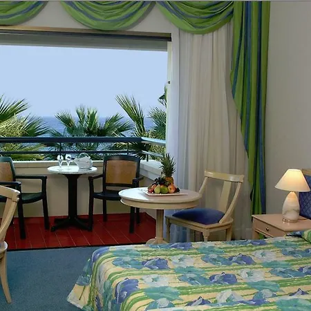 Palm & Larnaca