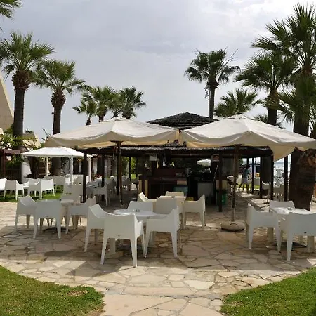 Feriested Palm &