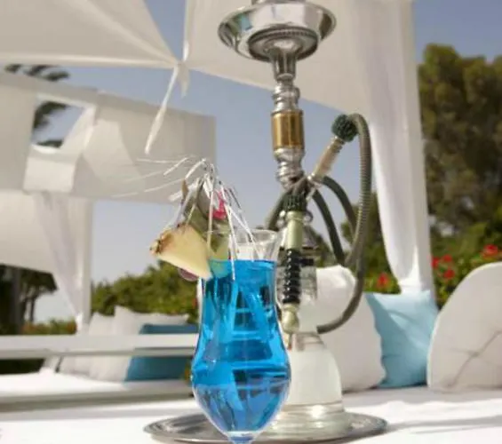 Semesteranläggning (resort) Palm & Larnaca